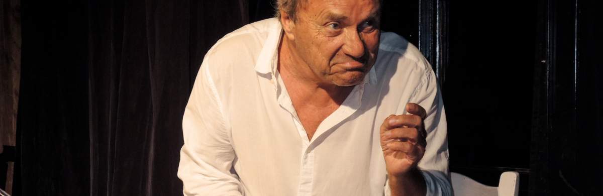 Schwejk - Abenteuer des braven Soldaten