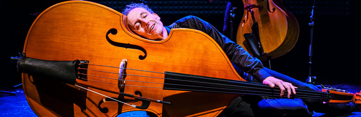 Der Kontrabass