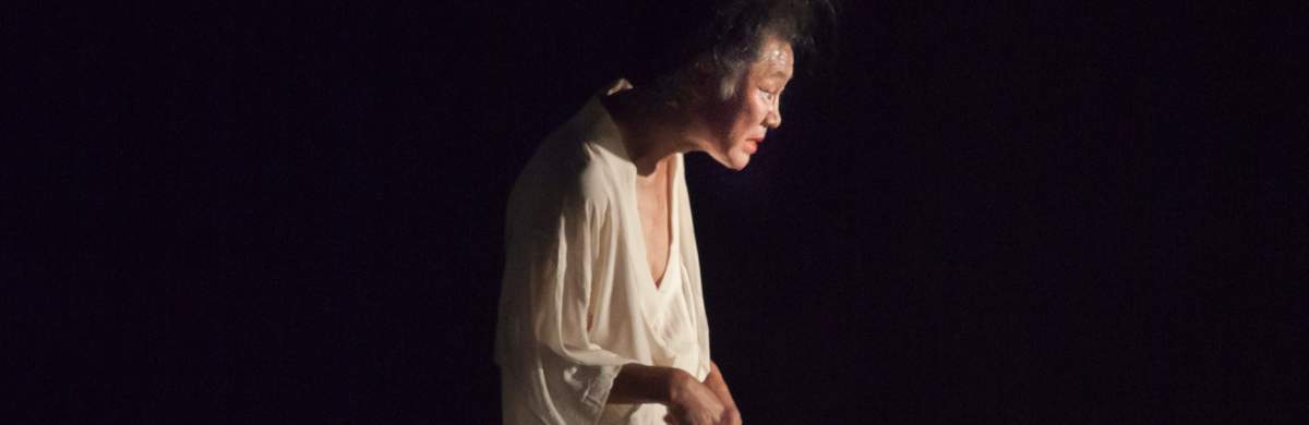 Tadashi Endo: Fukushima mon Amour